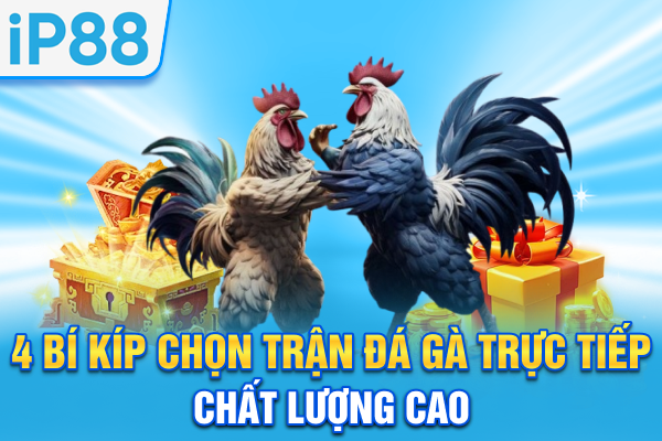 4 bí kíp chọn trận đá gà trực tiếp chất lượng cao