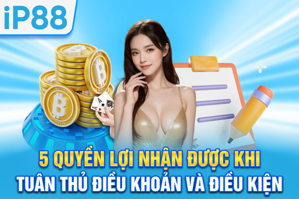 5 quyền lợi nhận được khi tuân thủ điều khoản và điều kiện