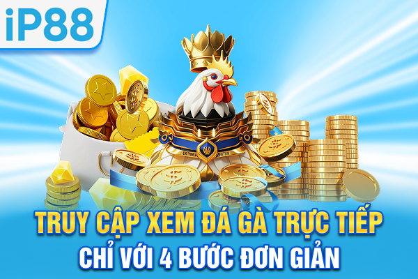 Truy cập xem đá gà trực tiếp chỉ với 4 bước đơn giản