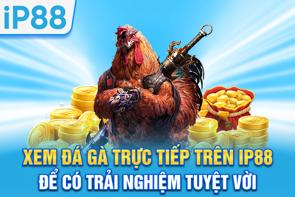 Xem đá gà trực tiếp trên IP88 để có trải nghiệm tuyệt vời